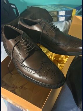 Tod's Brown Leather Wingtip Derby Dress Shoes